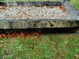 image of grave number 583146